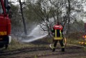 Waldbrand Wahner Heide Troisdorf Eisenweg P476